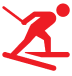 Skier Icon Snowride Sports NZ